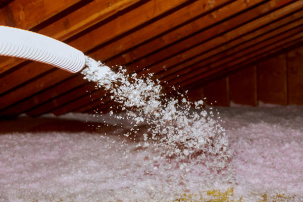 Best Types of Insulation in Chualar, CA