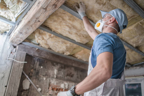 Best Insulation Installation Services in Chualar, CA